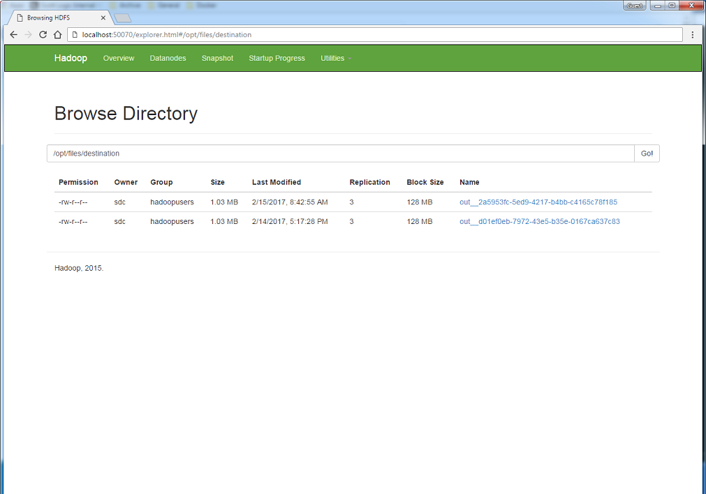 Output files are accessible in the HDFS GUI